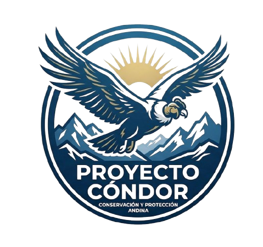Proyecto Cóndor